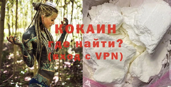 сатива Богородицк