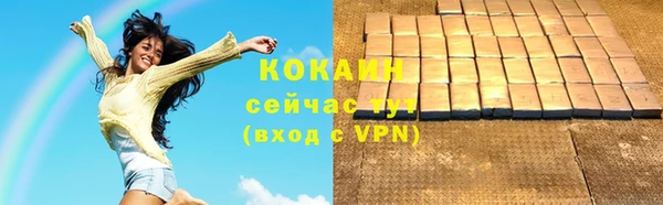 сатива Богородицк