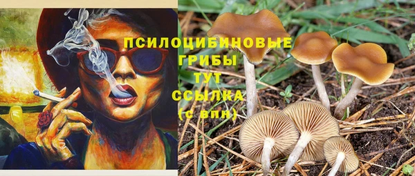кокаин перу Богданович