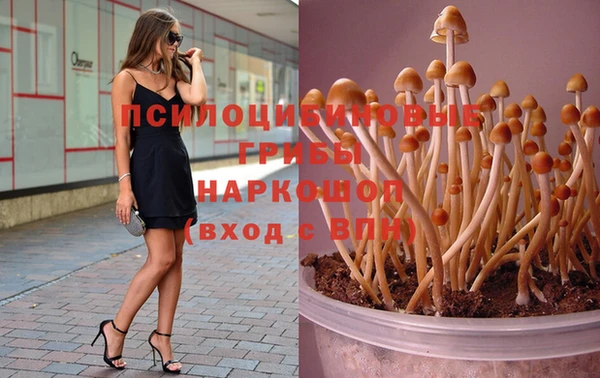 прущие крисы Богородск