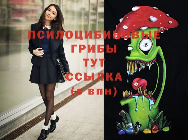 прущие крисы Богородск